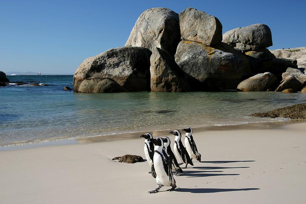 Roman Rock Apartments Simonʼs Town Exterior foto